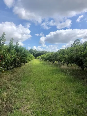 18250 Ravenswood Road Altoona FL 32702