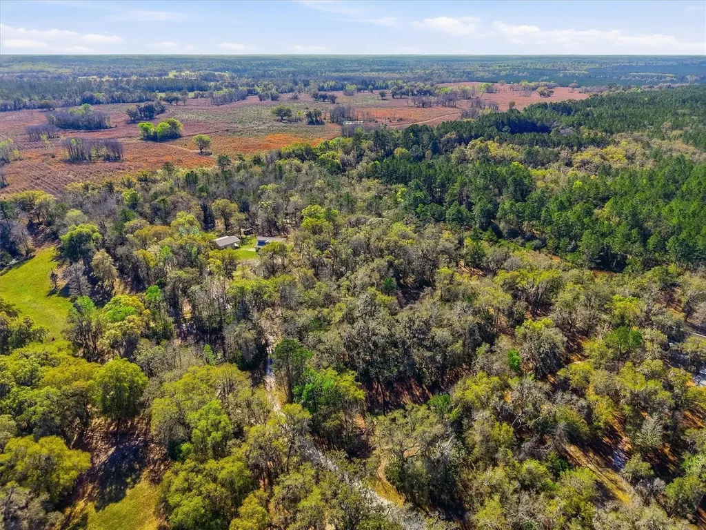 14600 NW 216th Place Micanopy FL 32667