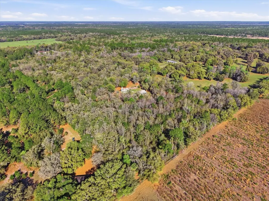 14600 NW 216th Place Micanopy FL 32667