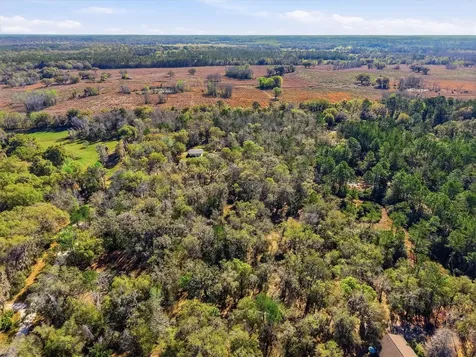 14600 NW 216th Place Micanopy FL 32667