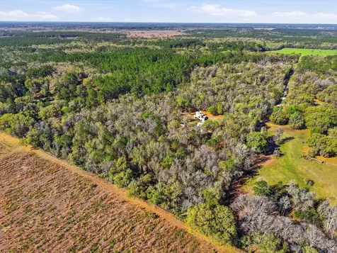 14600 NW 216th Place Micanopy FL 32667