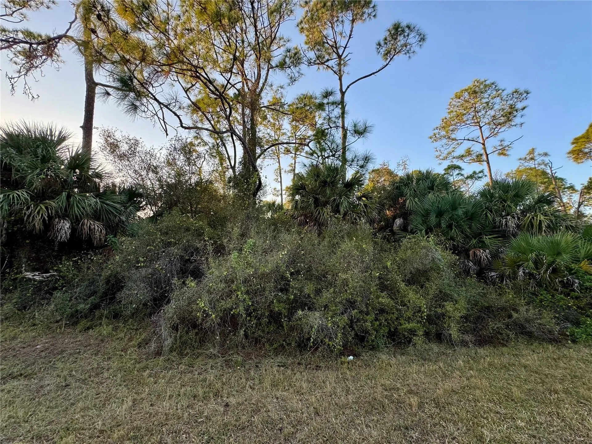 Silverleaf Road North Port FL 34288