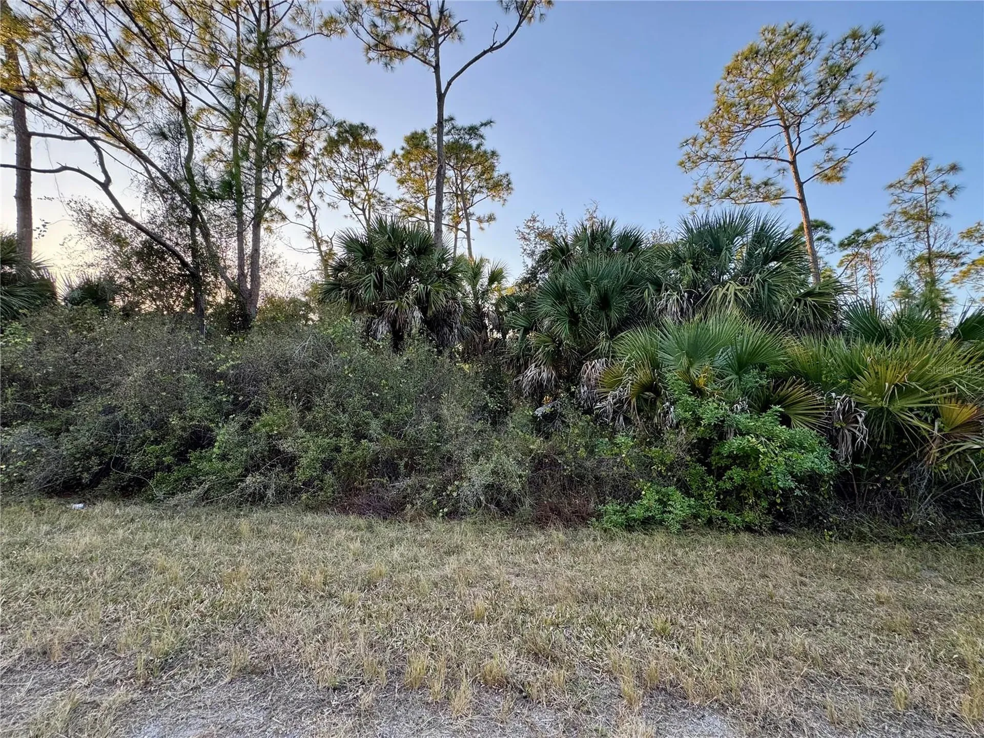 Silverleaf Road North Port FL 34288