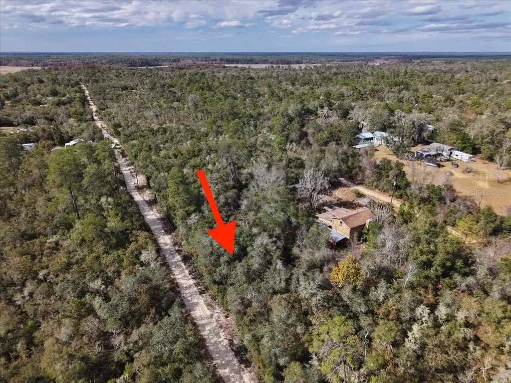 NE 233rd Lane Fort Mc Coy FL 32134