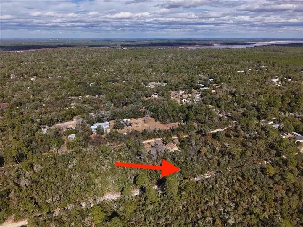 NE 233rd Lane Fort Mc Coy FL 32134