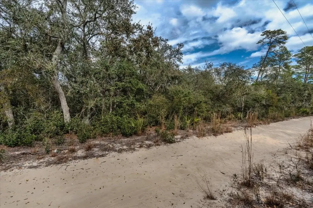 NE 233rd Lane Fort Mc Coy FL 32134