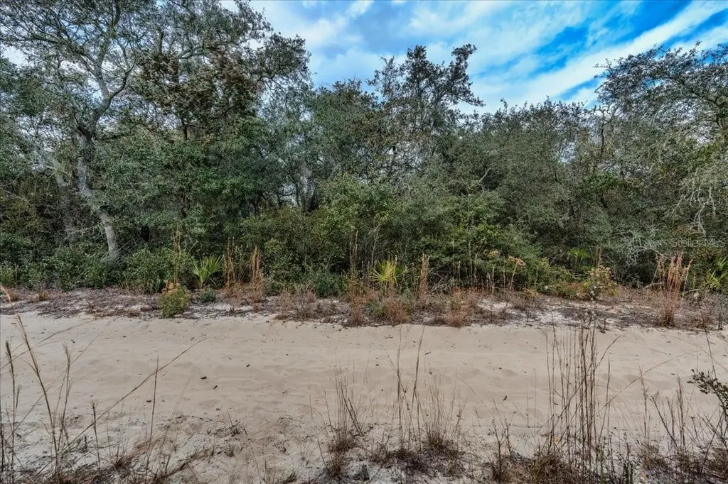 NE 233rd Lane Fort Mc Coy FL 32134