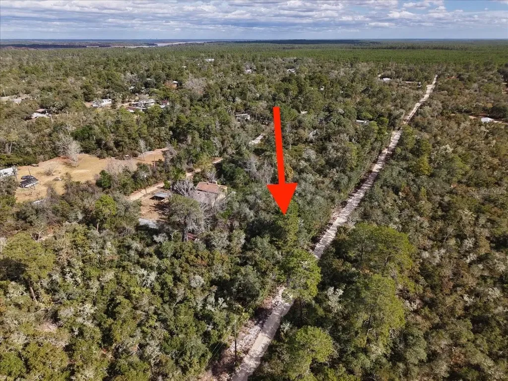 NE 233rd Lane Fort Mc Coy FL 32134