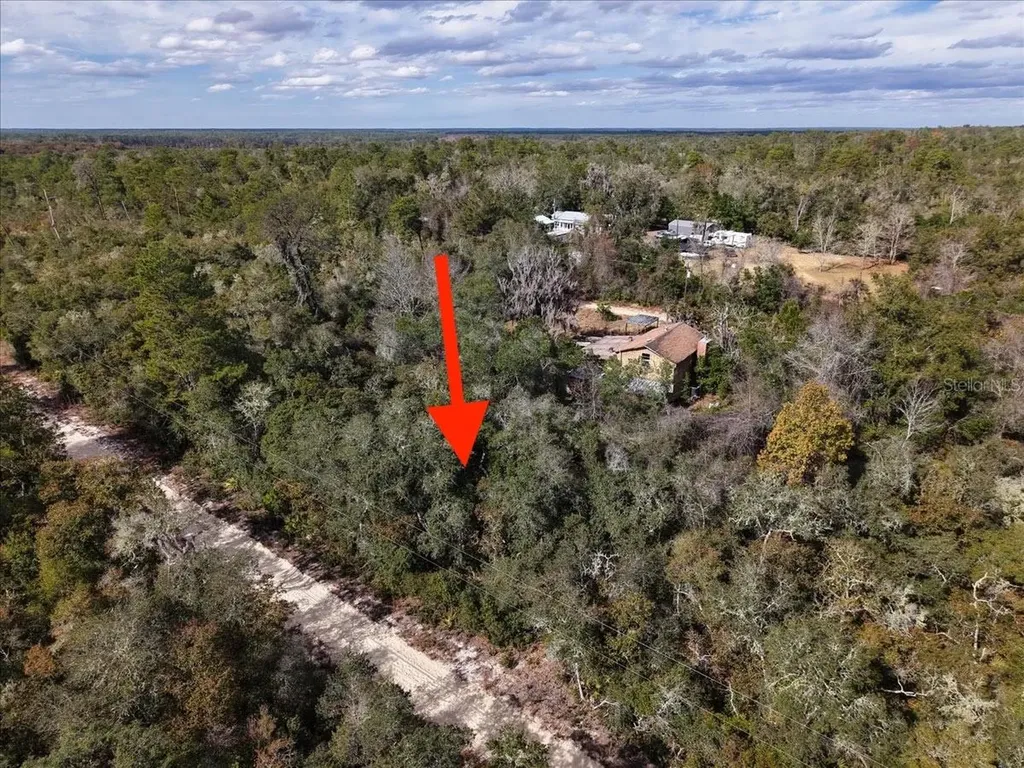 NE 233rd Lane Fort Mc Coy FL 32134