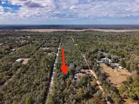 NE 233rd Lane Fort Mc Coy FL 32134