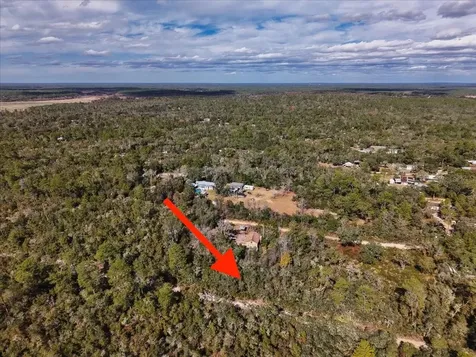 NE 233rd Lane Fort Mc Coy FL 32134