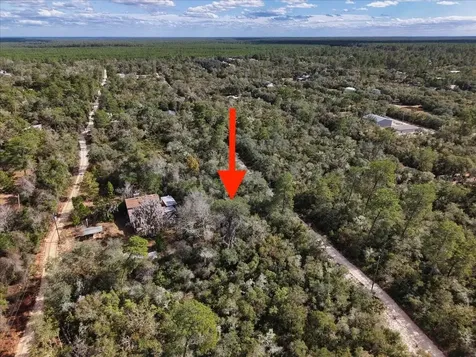 NE 233rd Lane Fort Mc Coy FL 32134