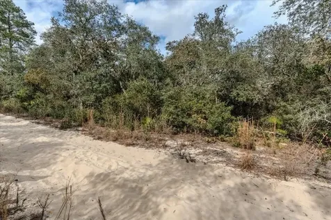 NE 233rd Lane Fort Mc Coy FL 32134