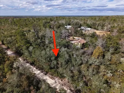 NE 233rd Lane Fort Mc Coy FL 32134