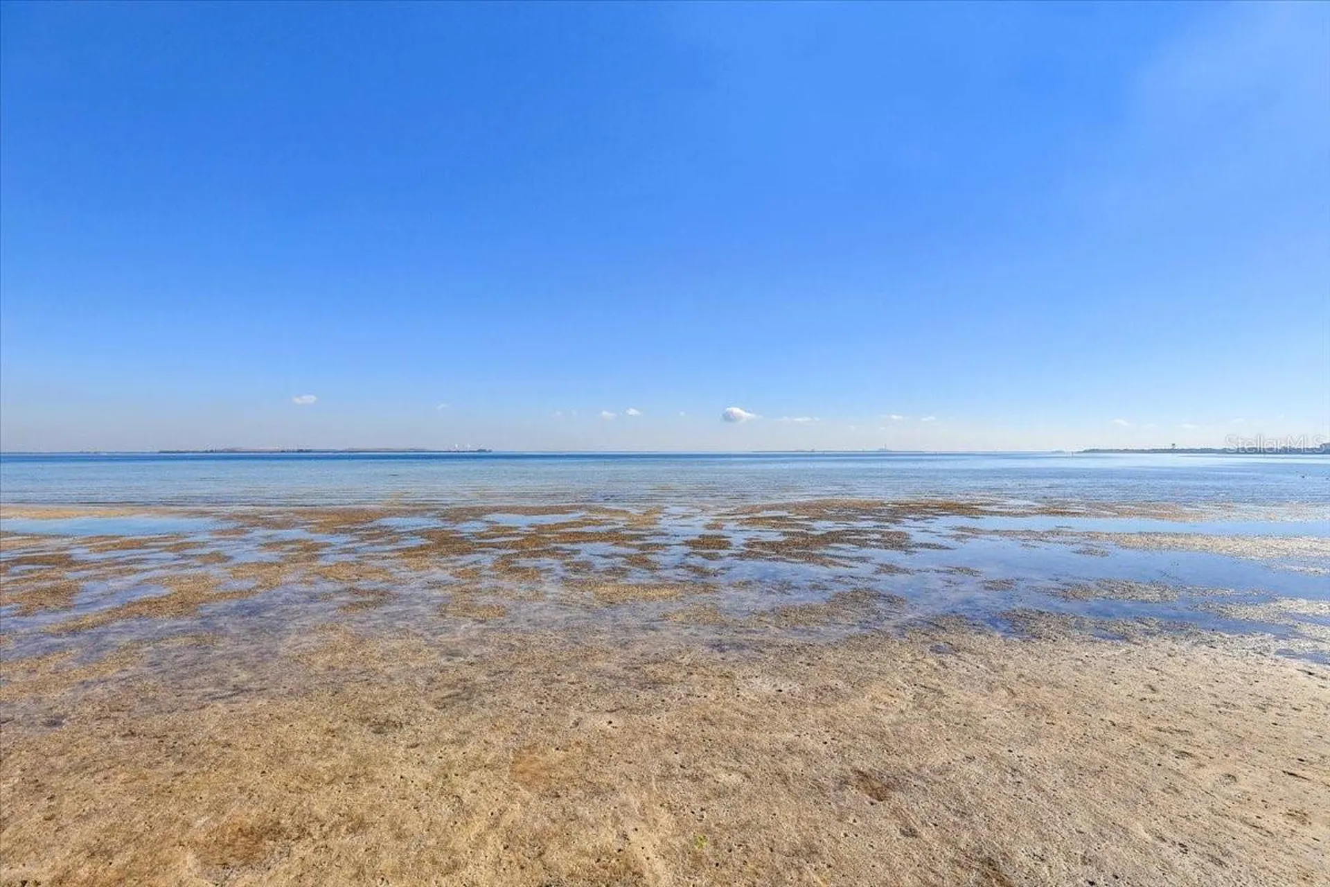 2965 Bayshore Pointe Drive Tampa FL 33611