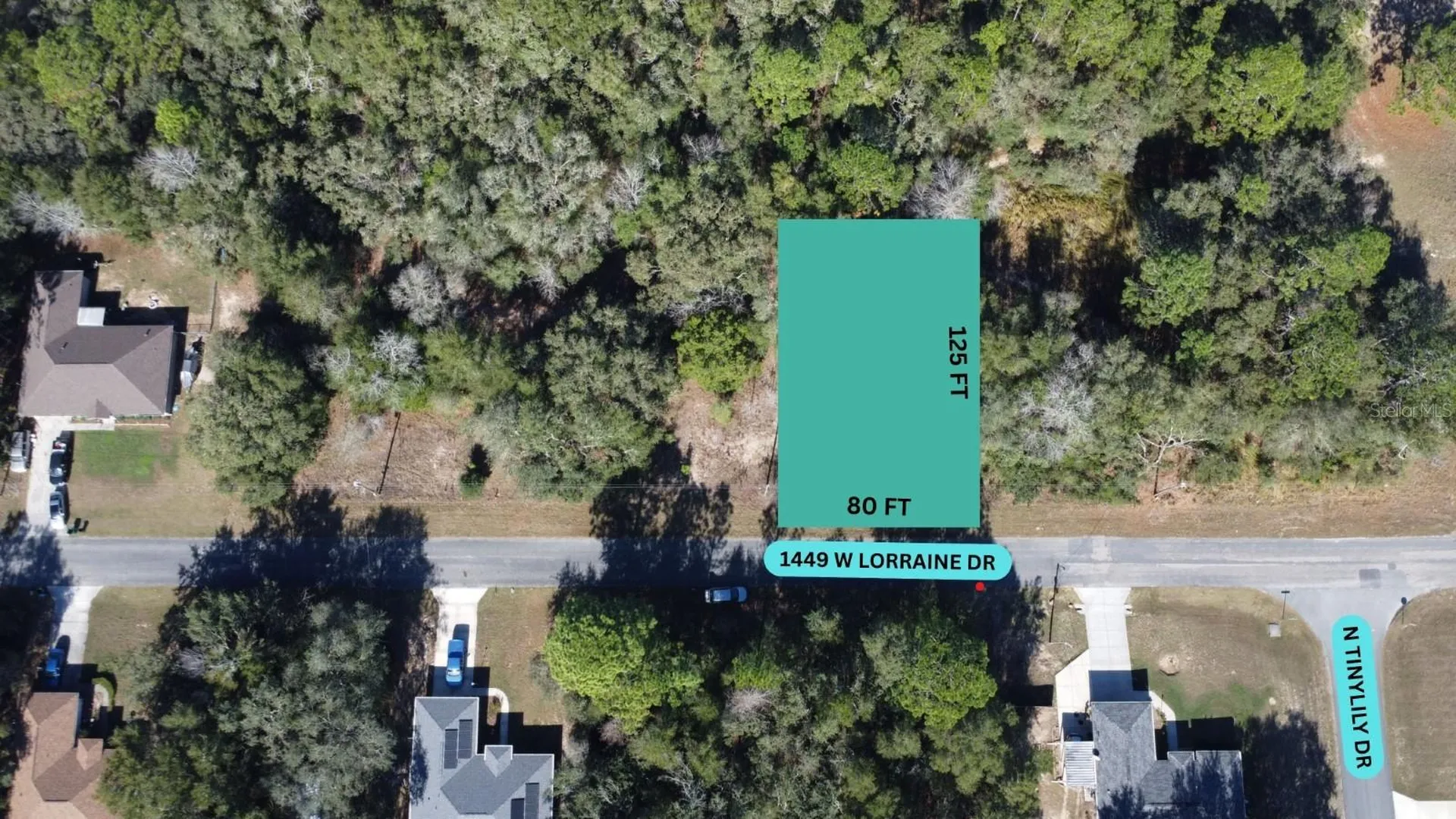 1449 W Lorraine Drive Citrus Springs FL 34434