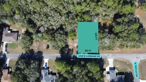 1449 W Lorraine Drive Citrus Springs FL 34434