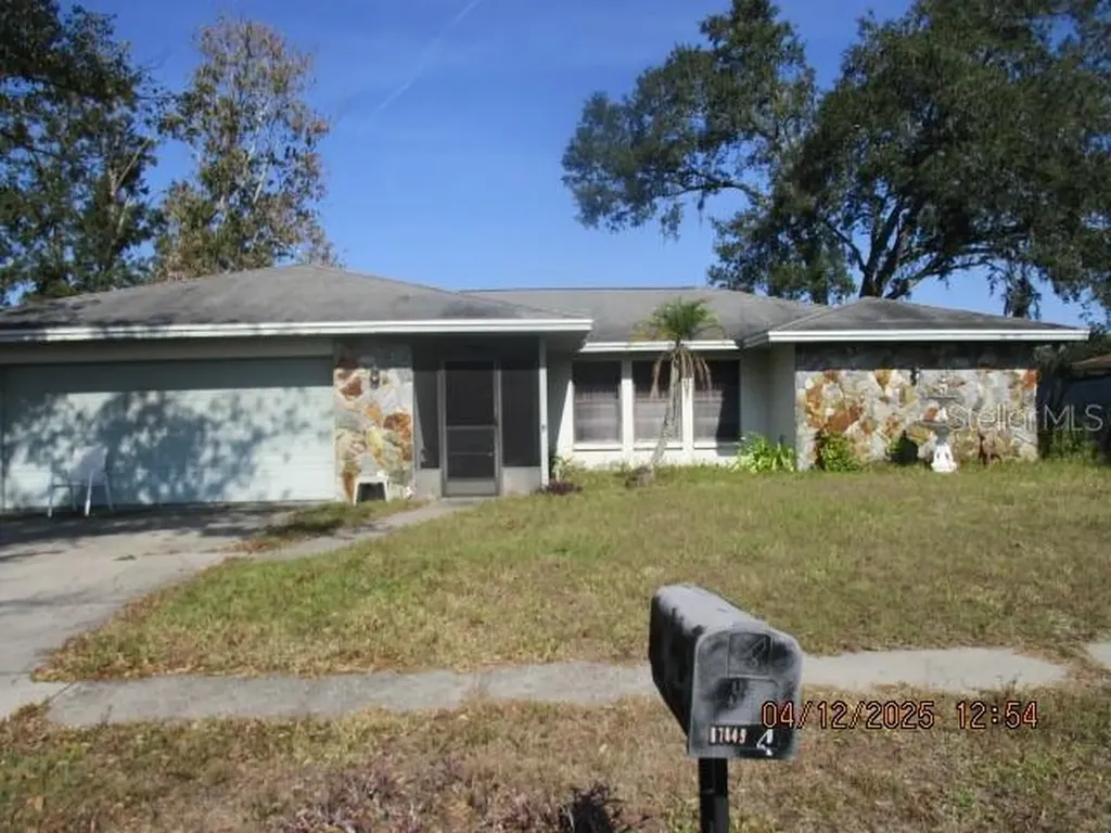 17849 Morninghigh Drive Lutz FL 33549