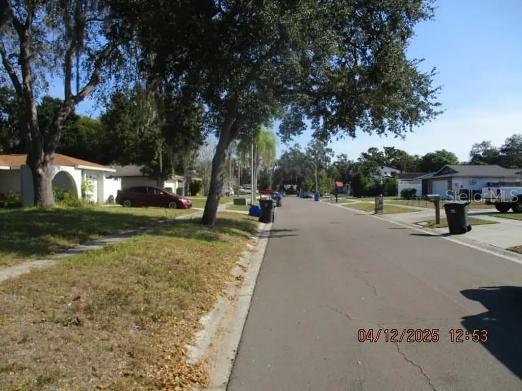 17849 Morninghigh Drive Lutz FL 33549