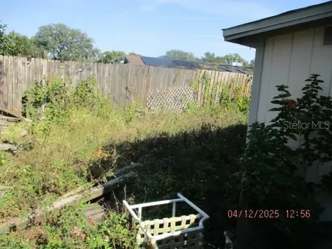 17849 Morninghigh Drive Lutz FL 33549