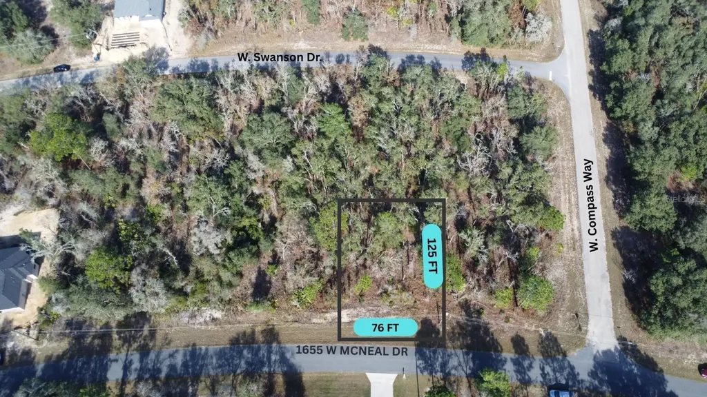 1655 W Mcneal Drive Citrus Springs FL 34434