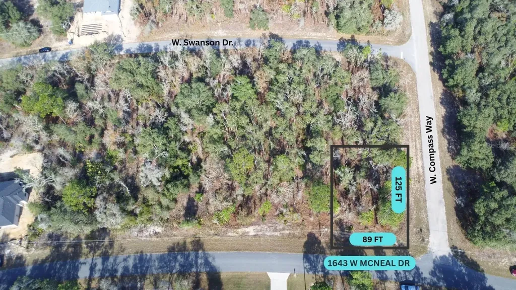 1643 W Mcneal Drive Citrus Springs FL 34434