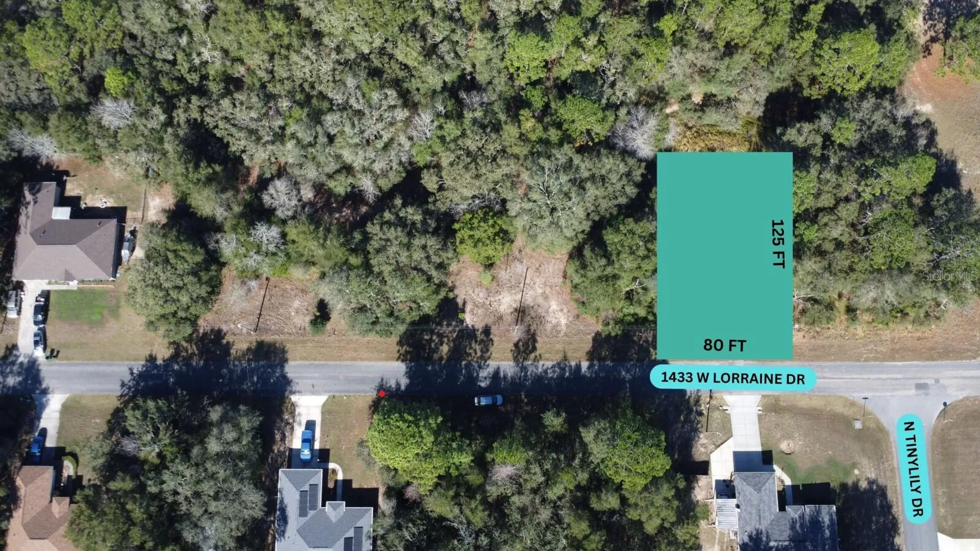 1433 W Lorraine Drive Citrus Springs FL 34434