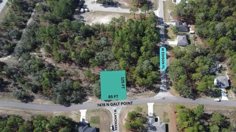 7478 N Galt Point Citrus Springs FL 34434