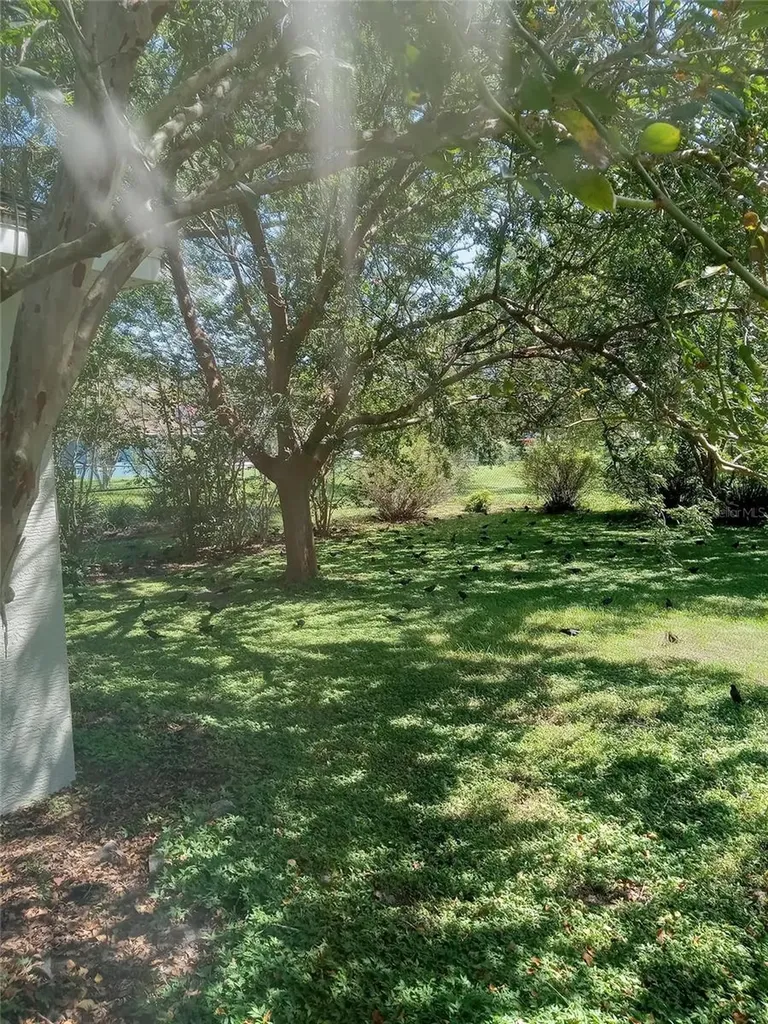 3061 NW 49th Avenue Ocala FL 34482