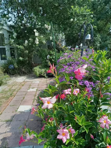 3061 NW 49th Avenue Ocala FL 34482