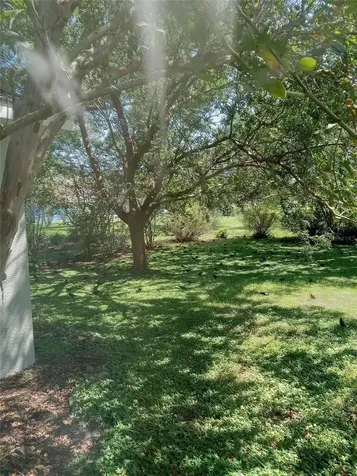 3061 NW 49th Avenue Ocala FL 34482