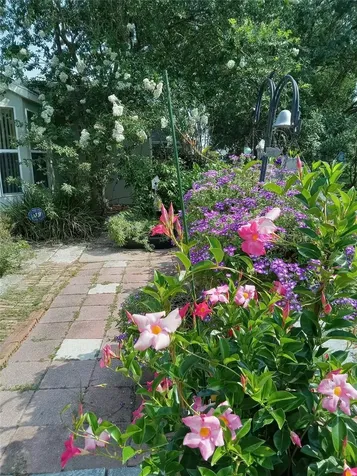 3061 NW 49th Avenue Ocala FL 34482