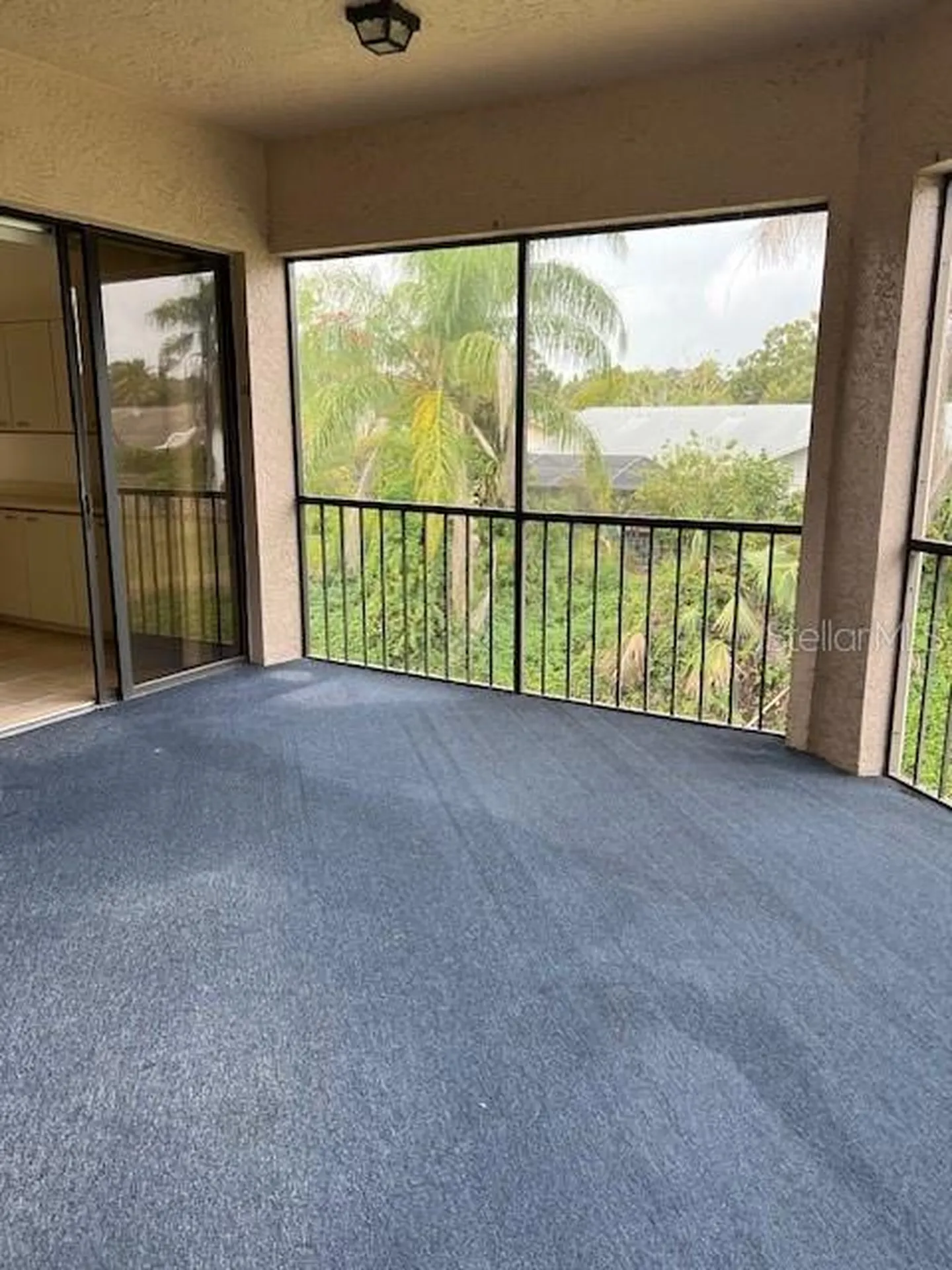 3000 Red Oak Court Palm Harbor FL 34684