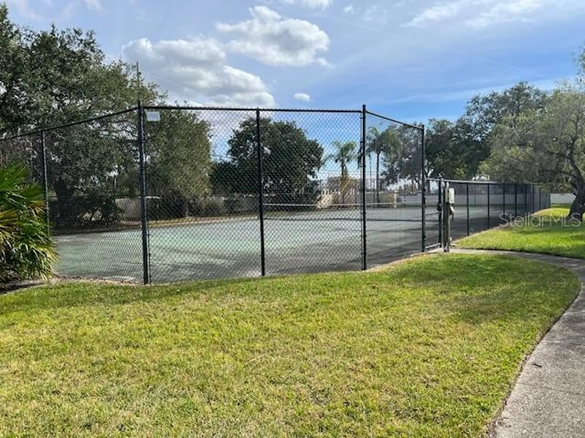 3000 Red Oak Court Palm Harbor FL 34684