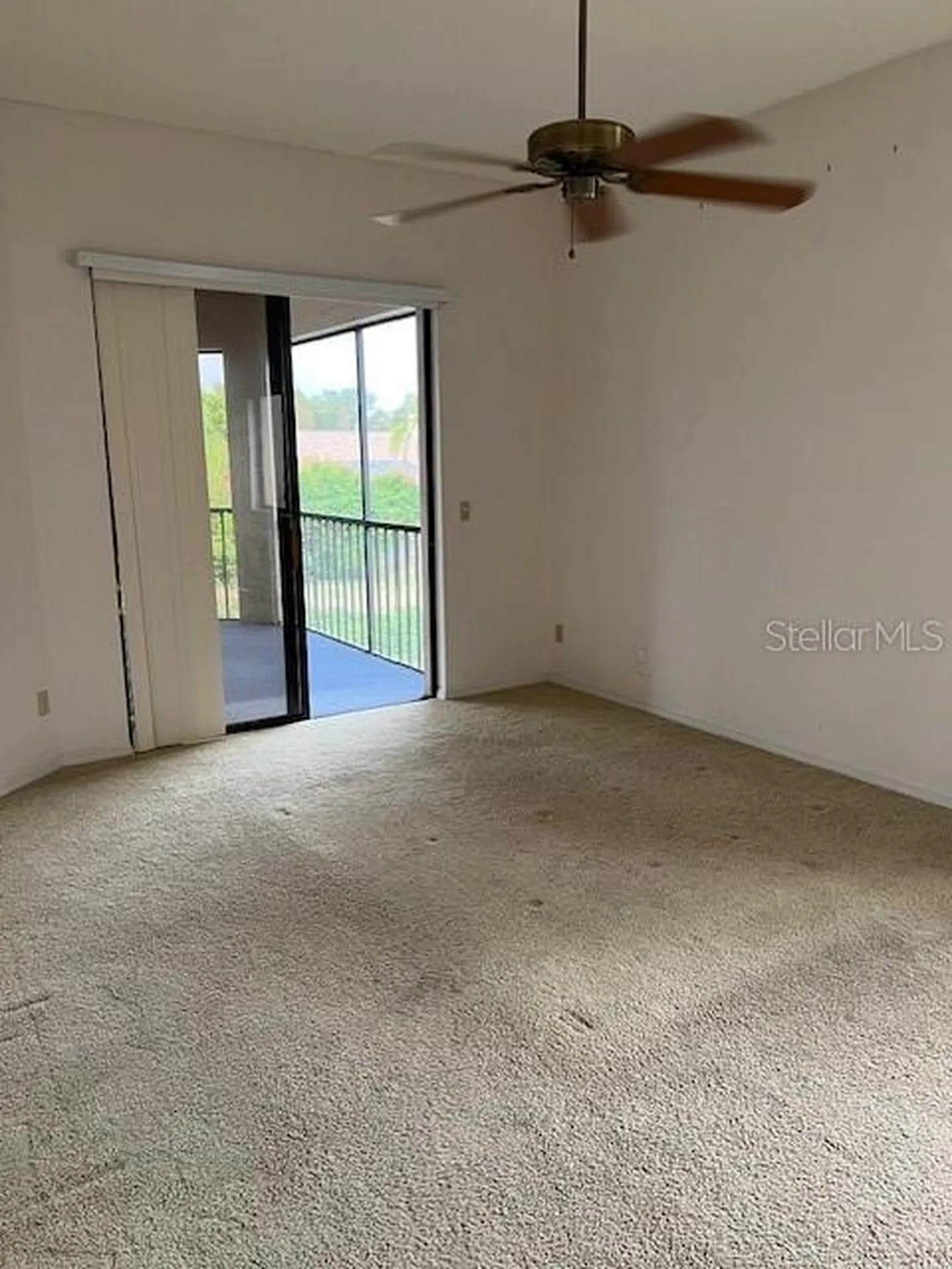 3000 Red Oak Court Palm Harbor FL 34684