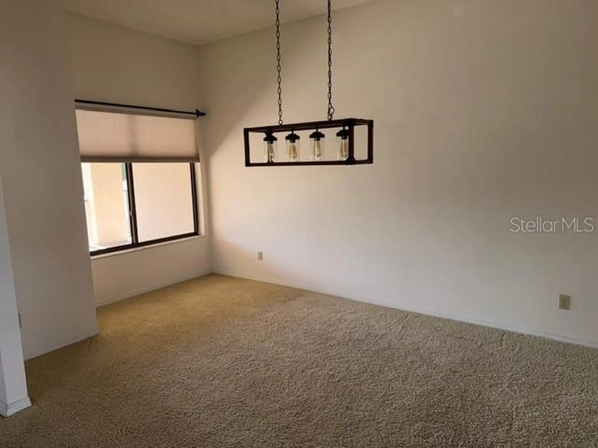 3000 Red Oak Court Palm Harbor FL 34684
