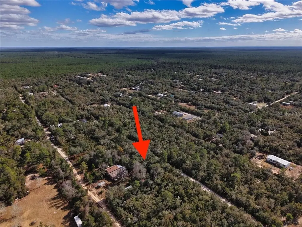 NE 233rd Lane Fort Mc Coy FL 32134
