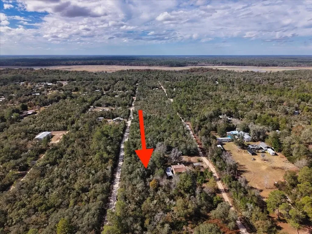 NE 233rd Lane Fort Mc Coy FL 32134