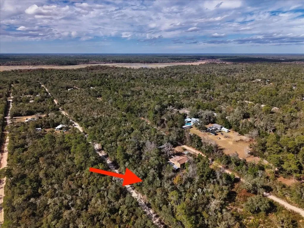 NE 233rd Lane Fort Mc Coy FL 32134