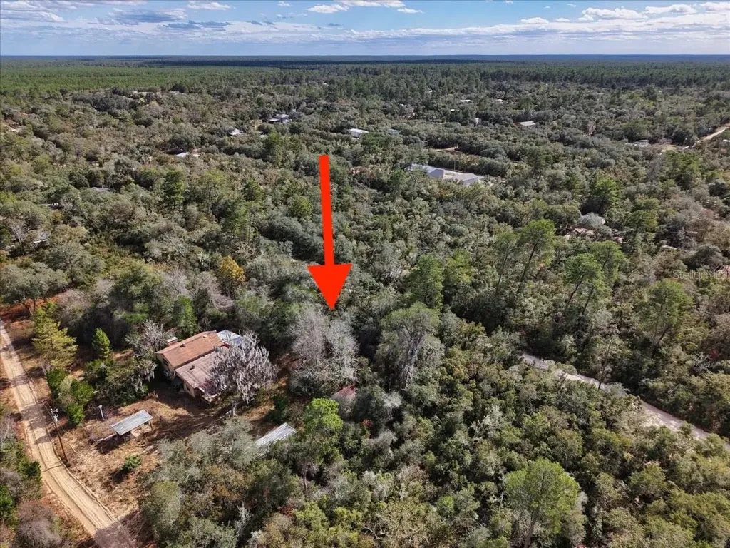 NE 233rd Lane Fort Mc Coy FL 32134