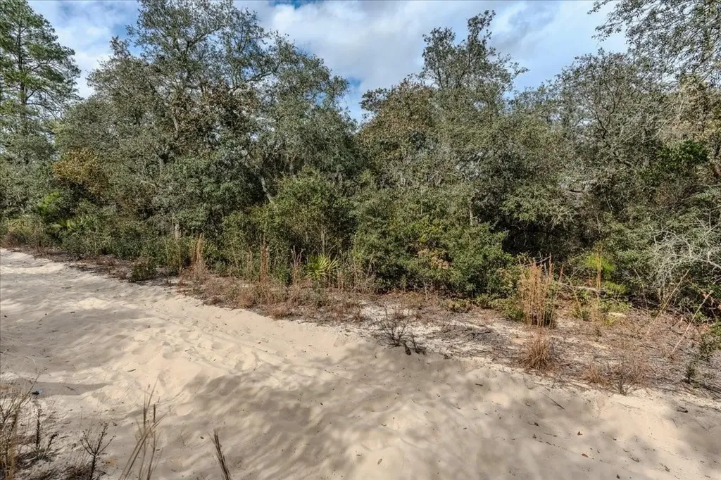 NE 233rd Lane Fort Mc Coy FL 32134