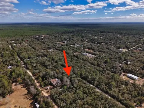 NE 233rd Lane Fort Mc Coy FL 32134
