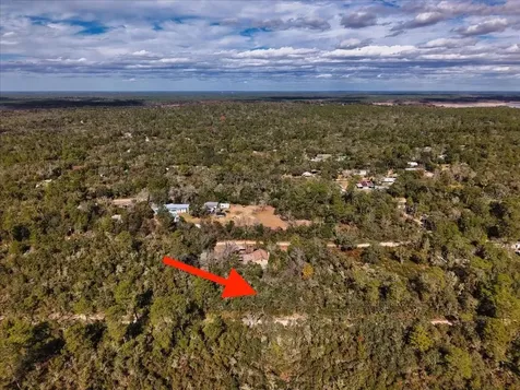 NE 233rd Lane Fort Mc Coy FL 32134