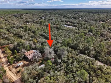 NE 233rd Lane Fort Mc Coy FL 32134