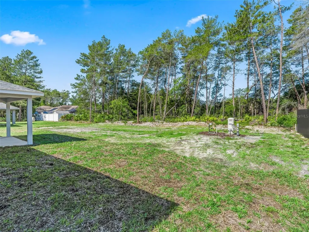 118 Bay Drive Ocklawaha FL 32179