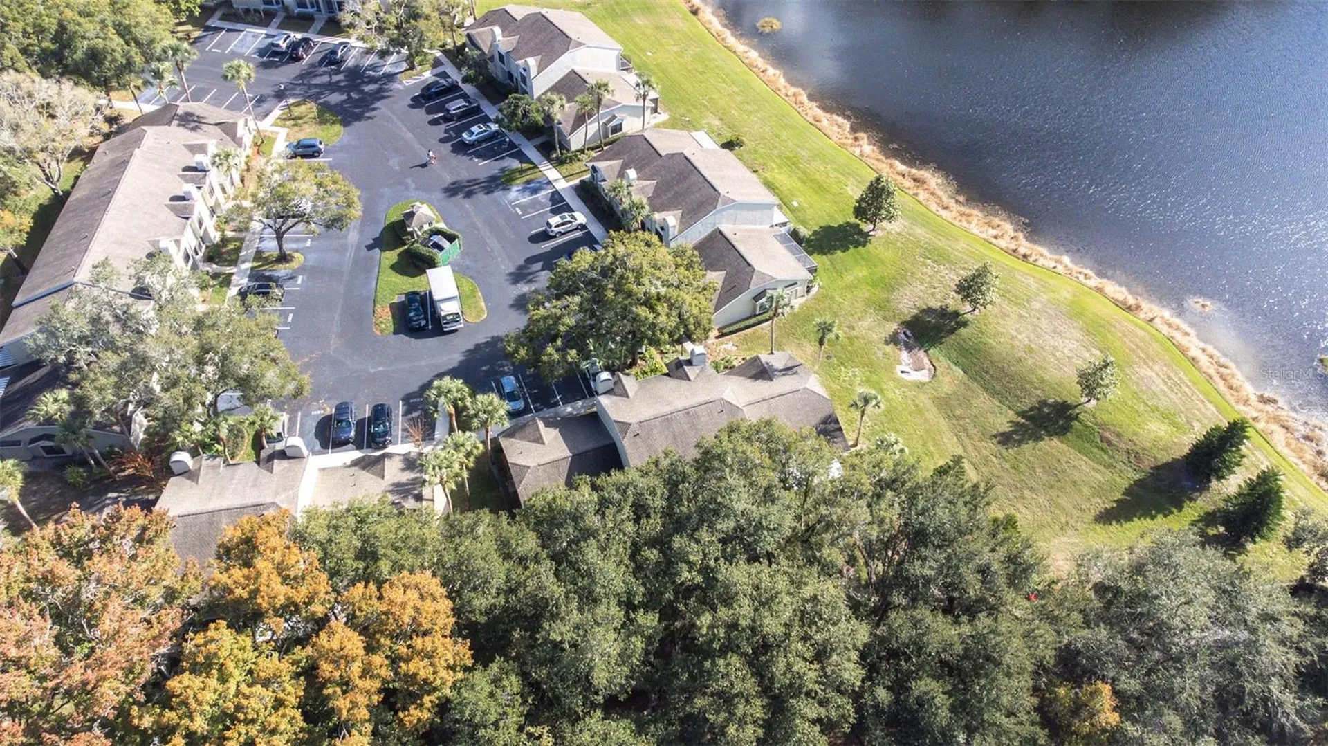 5100 Burchette Road Tampa FL 33647