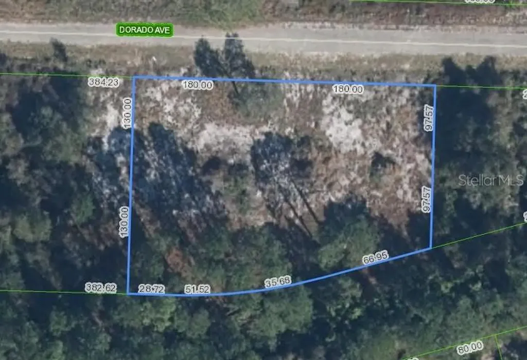 3348 Dorado Avenue Lake Placid FL 33852