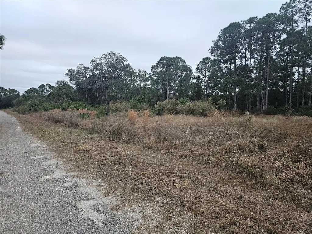 3348 Dorado Avenue Lake Placid FL 33852