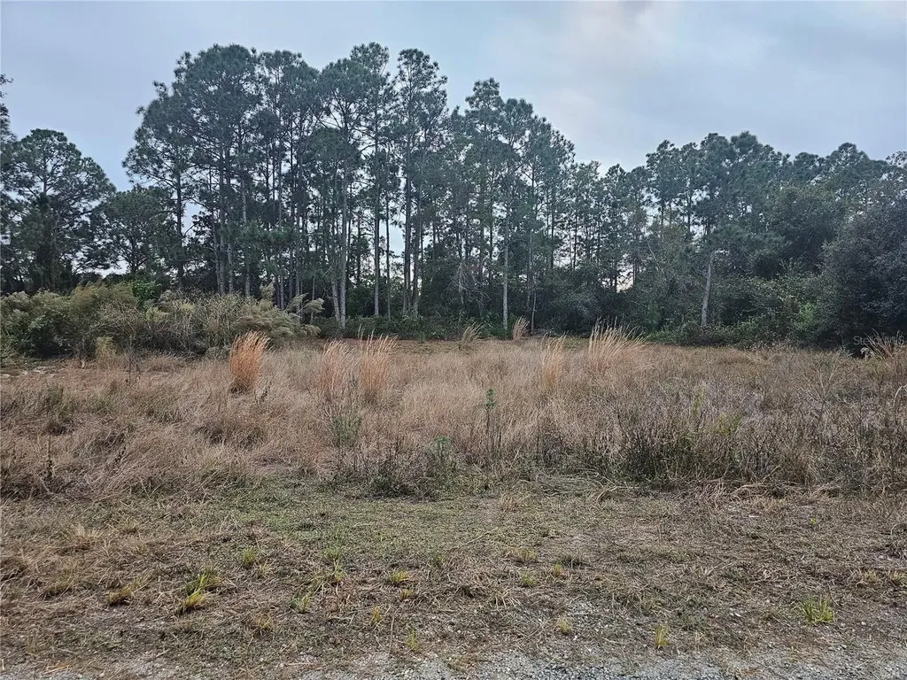 3348 Dorado Avenue Lake Placid FL 33852
