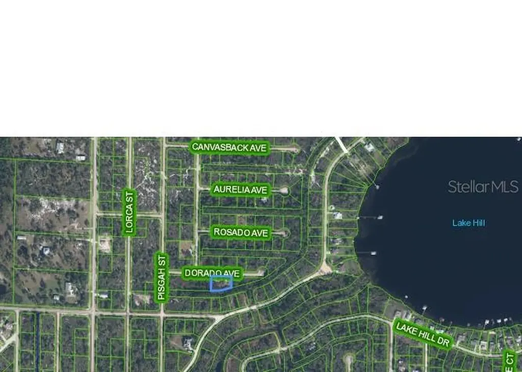 3348 Dorado Avenue Lake Placid FL 33852
